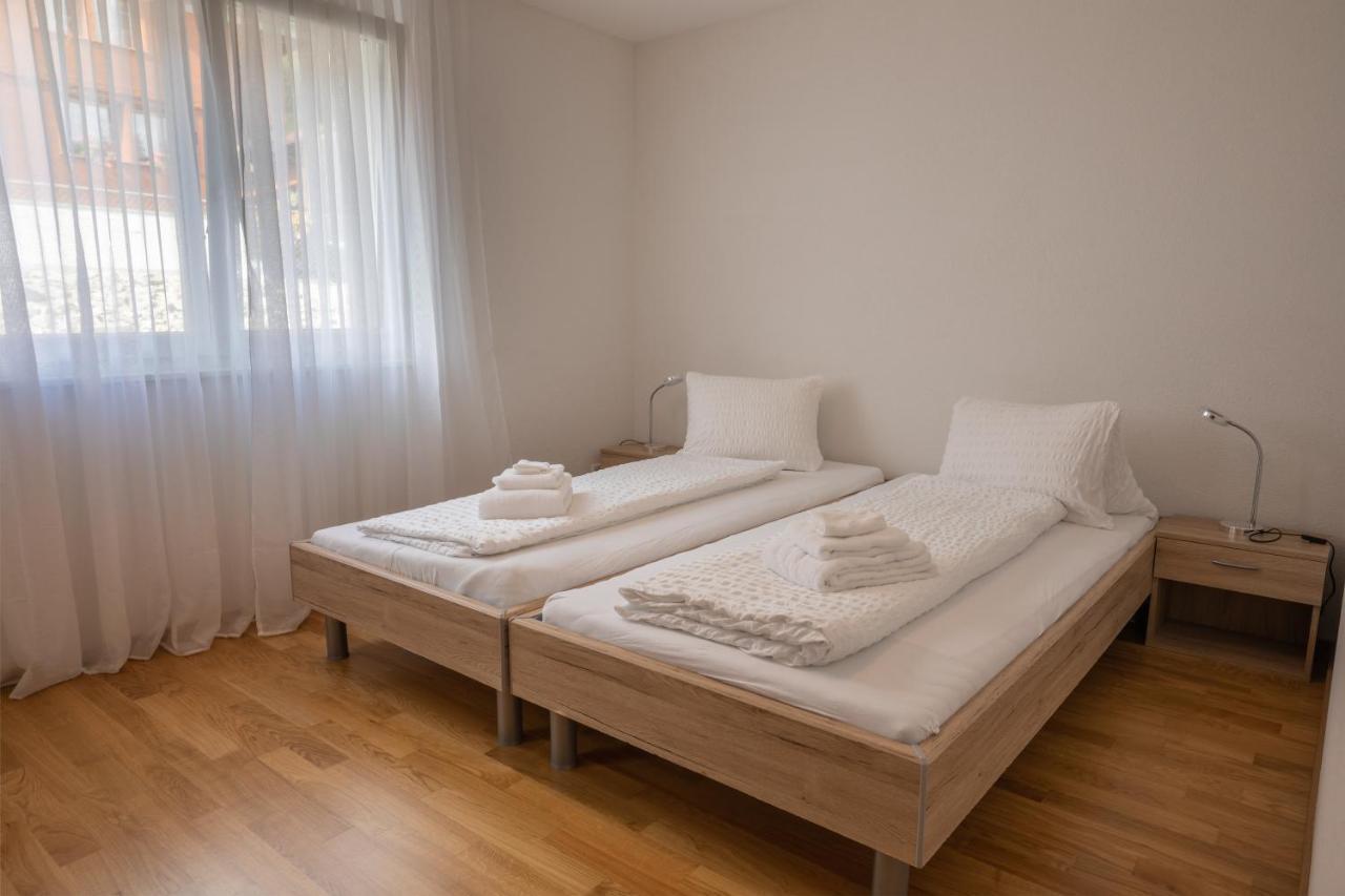 Moench Apartment - Aare Jungfrau Ag 维尔德斯韦尔 外观 照片